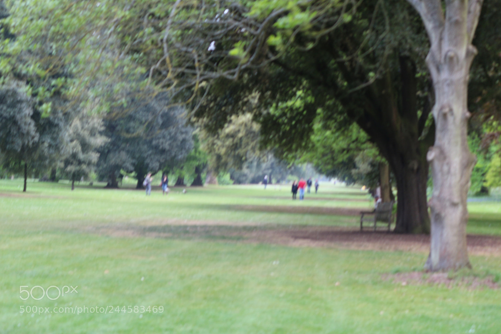 Canon EOS 650D (EOS Rebel T4i / EOS Kiss X6i) sample photo. Img photography