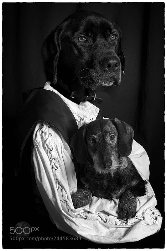 Sony SLT-A99V sample photo. Kawa et opi photography