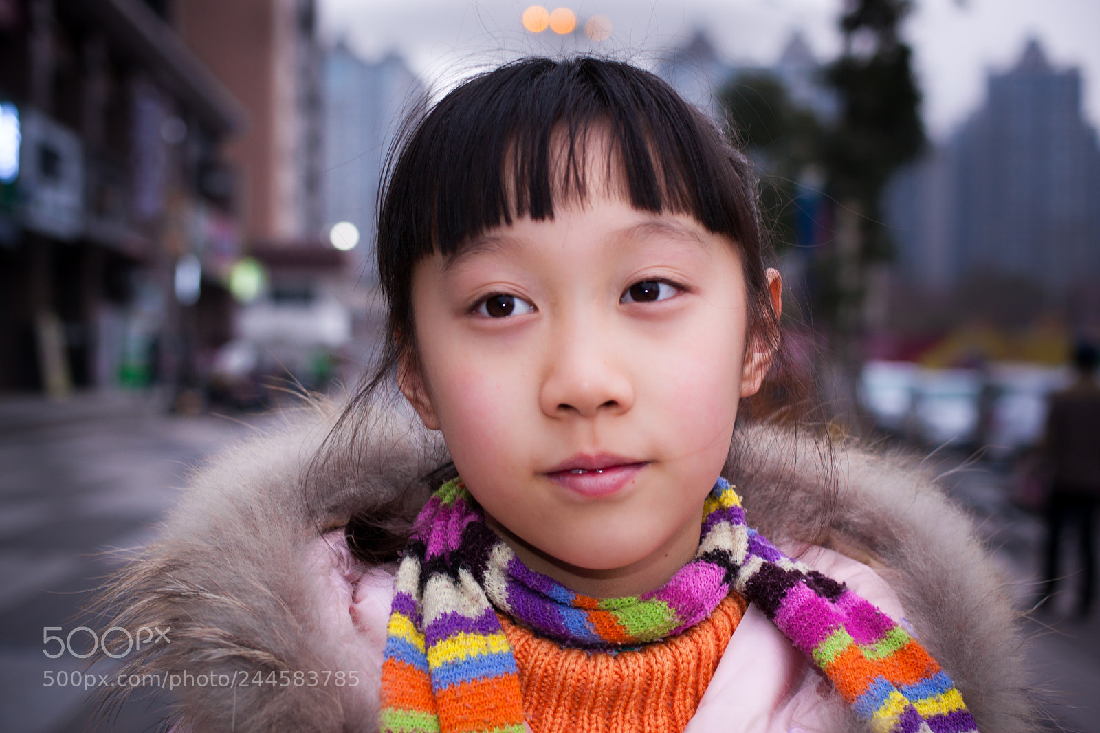 Canon EOS 40D sample photo. 40d+40mmstm/2.8 photography
