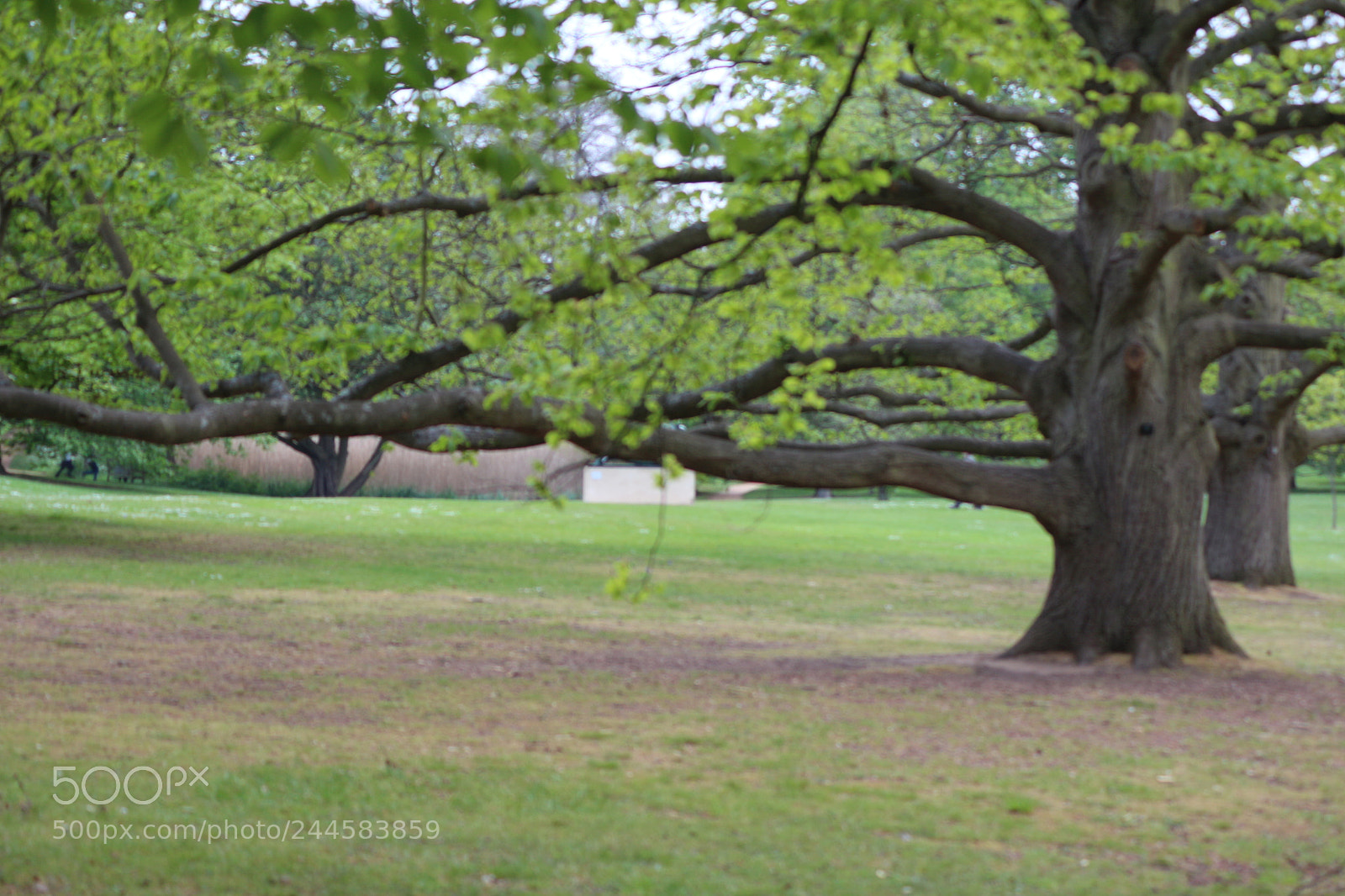 Canon EOS 650D (EOS Rebel T4i / EOS Kiss X6i) sample photo. Img photography