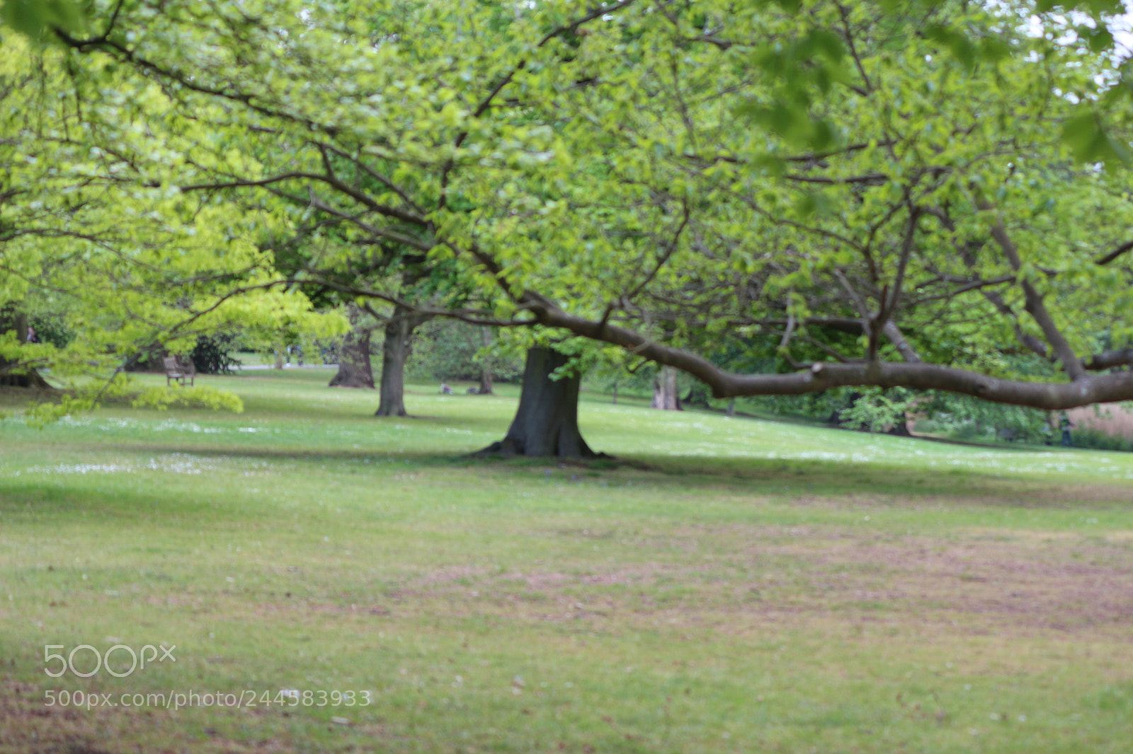 Canon EOS 650D (EOS Rebel T4i / EOS Kiss X6i) sample photo. Img photography