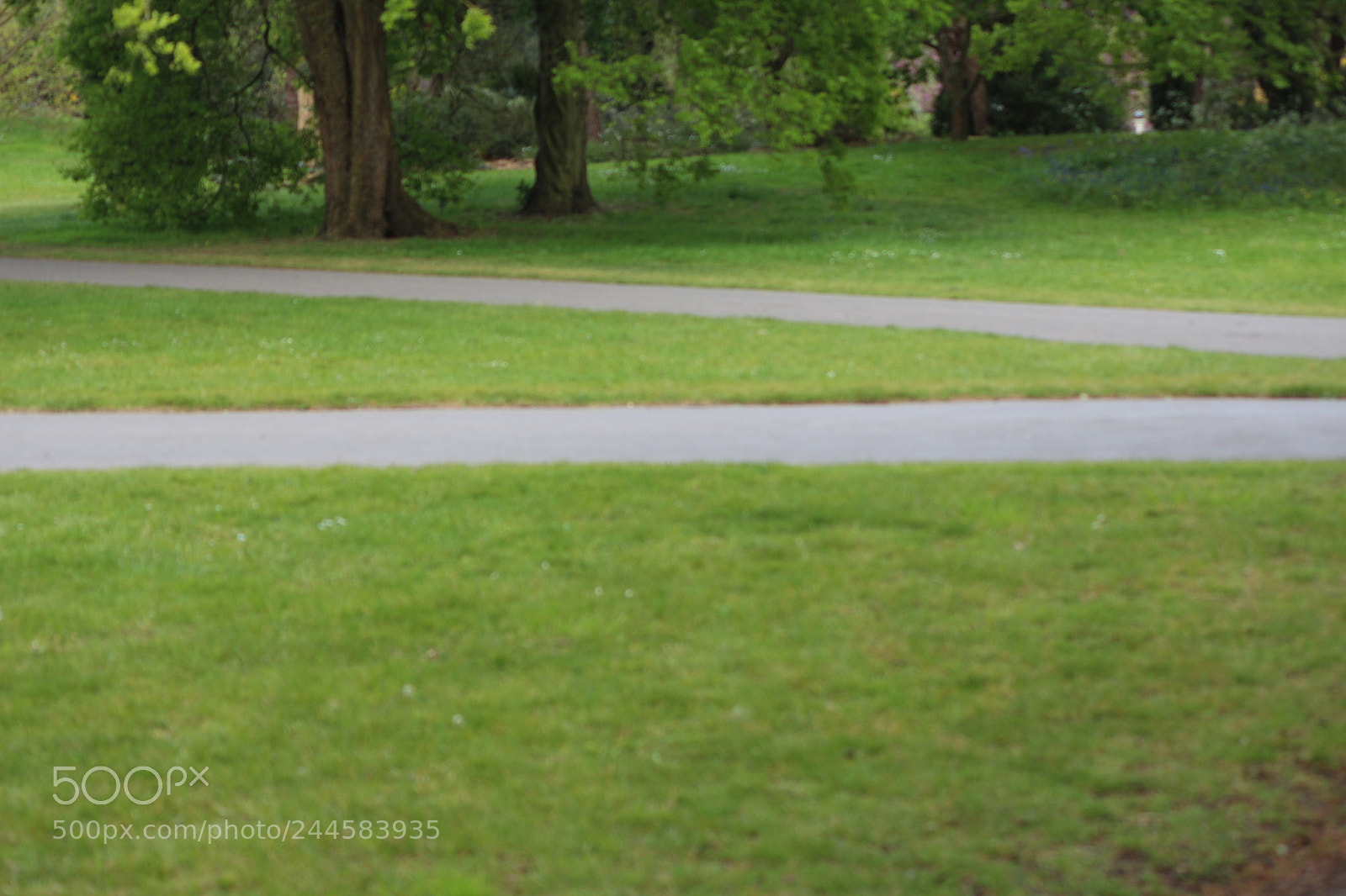 Canon EOS 650D (EOS Rebel T4i / EOS Kiss X6i) sample photo. Img photography