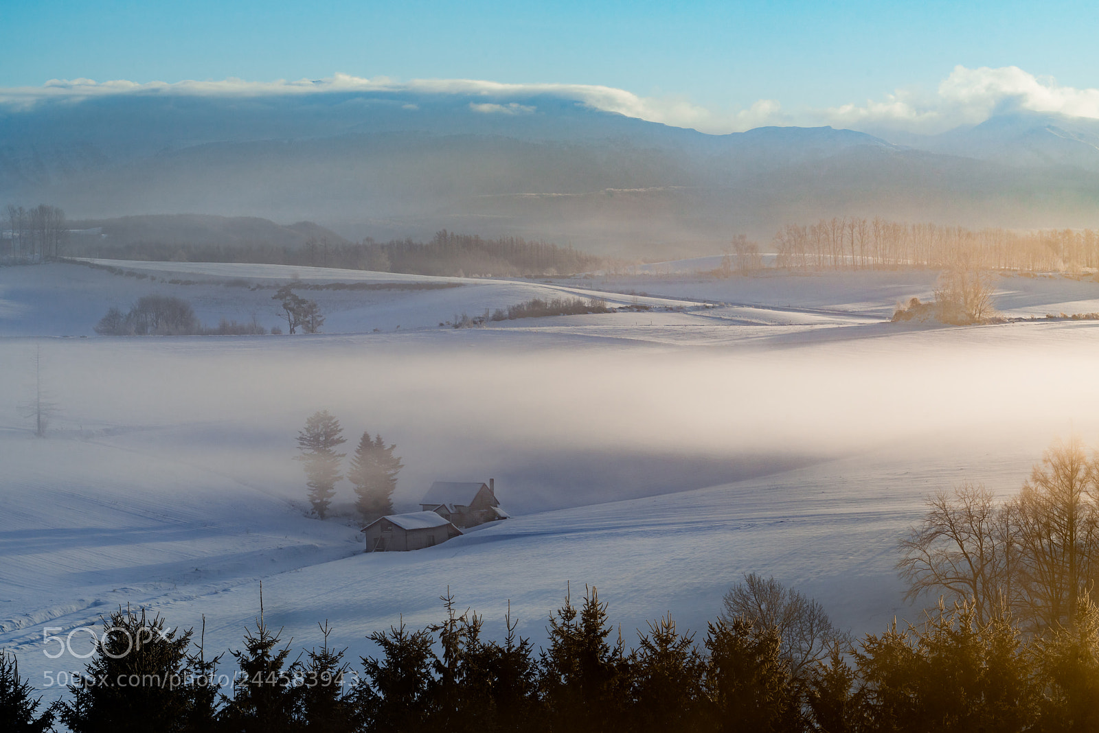 Nikon D800E sample photo. Mist in the morning photography