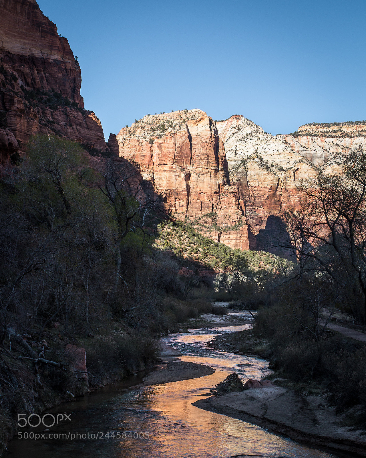 Canon EOS 60D sample photo. Stream of reflections photography