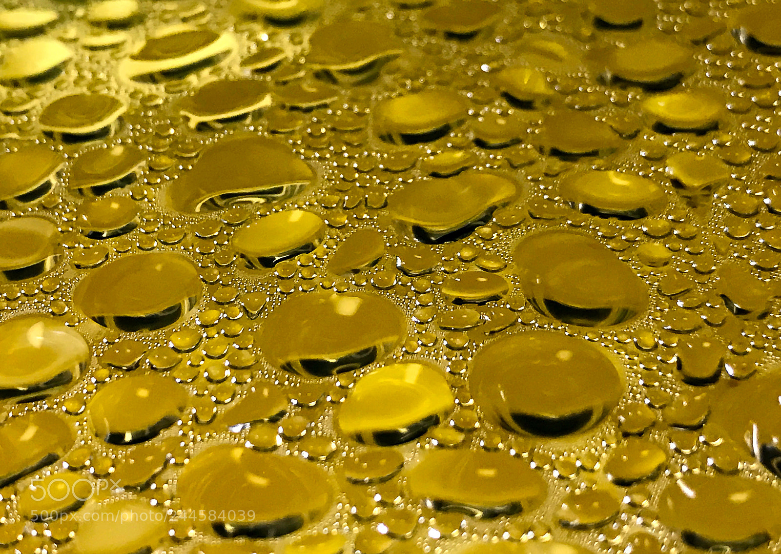 Apple iPhone 7 Plus sample photo. Liquid gold photography