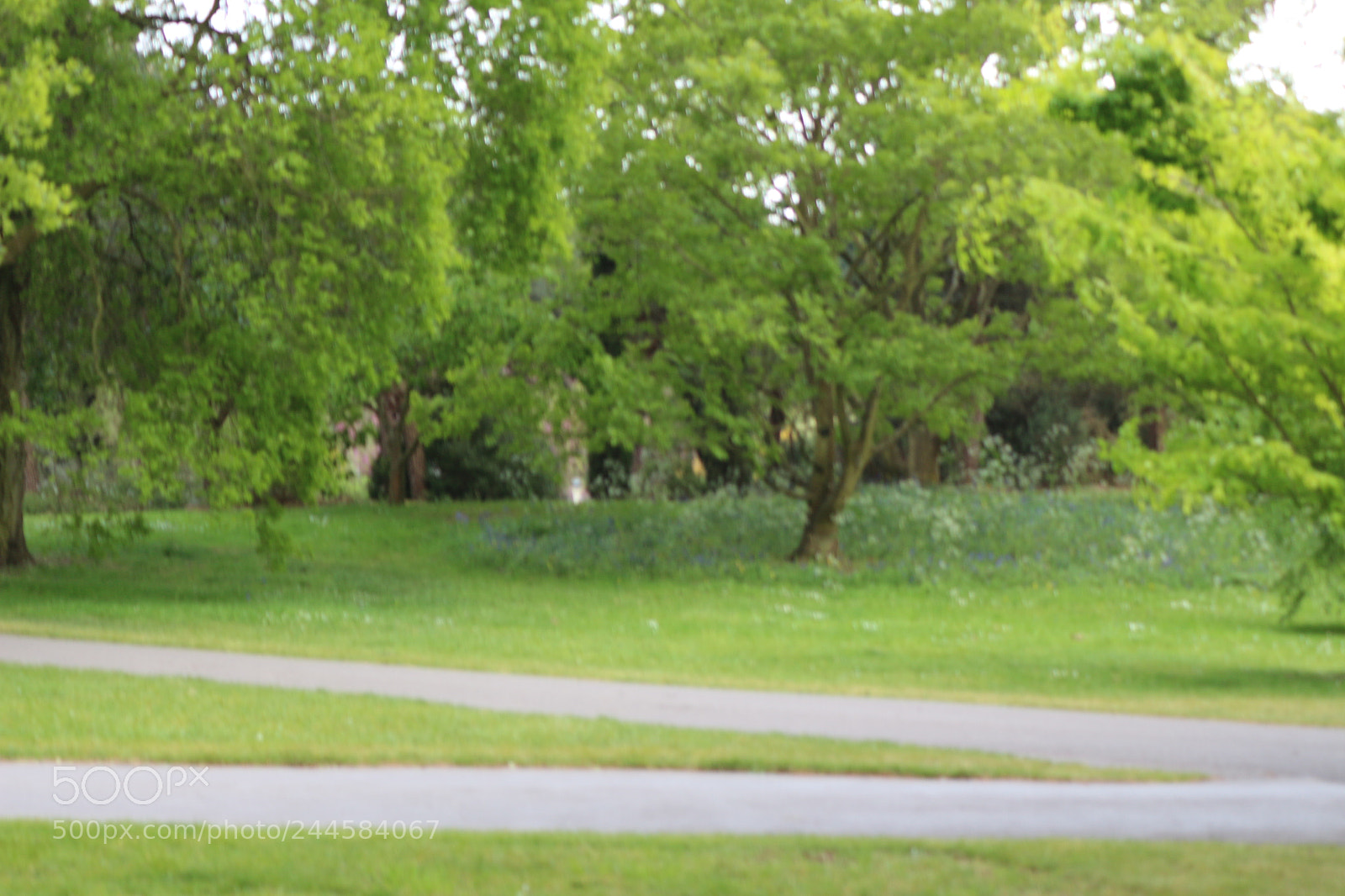 Canon EOS 650D (EOS Rebel T4i / EOS Kiss X6i) sample photo. Img photography