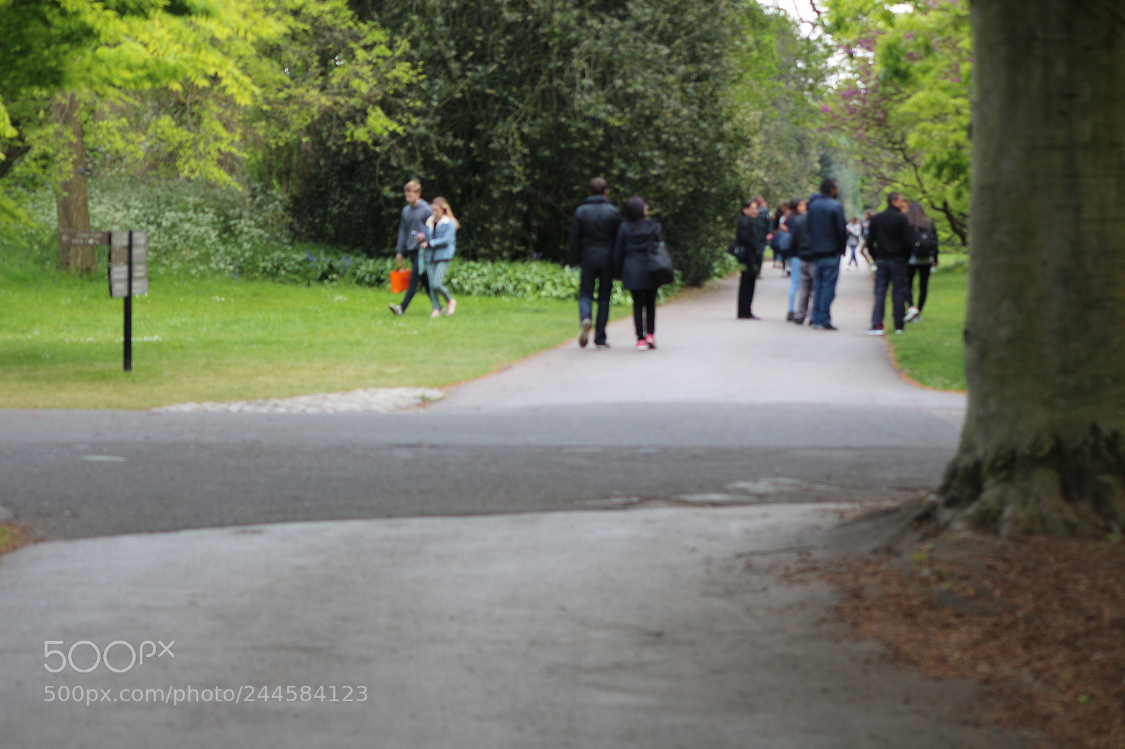 Canon EOS 650D (EOS Rebel T4i / EOS Kiss X6i) sample photo. Img photography
