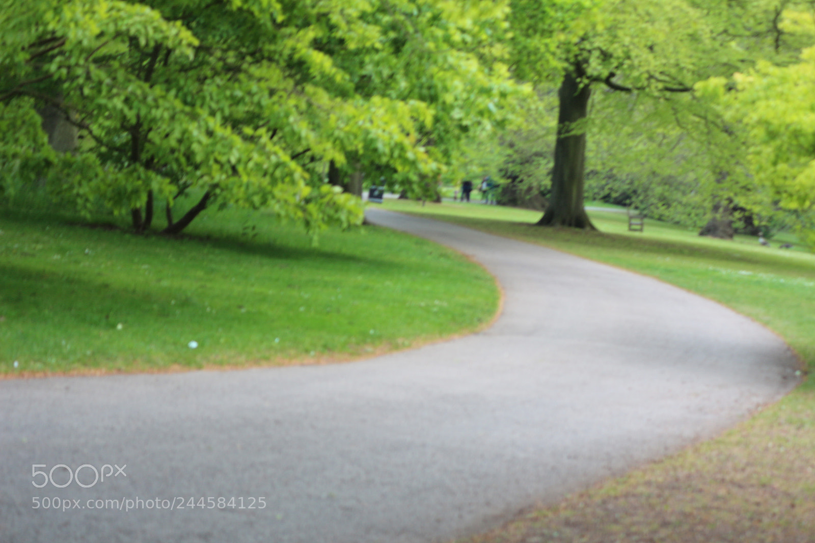 Canon EOS 650D (EOS Rebel T4i / EOS Kiss X6i) sample photo. Img photography