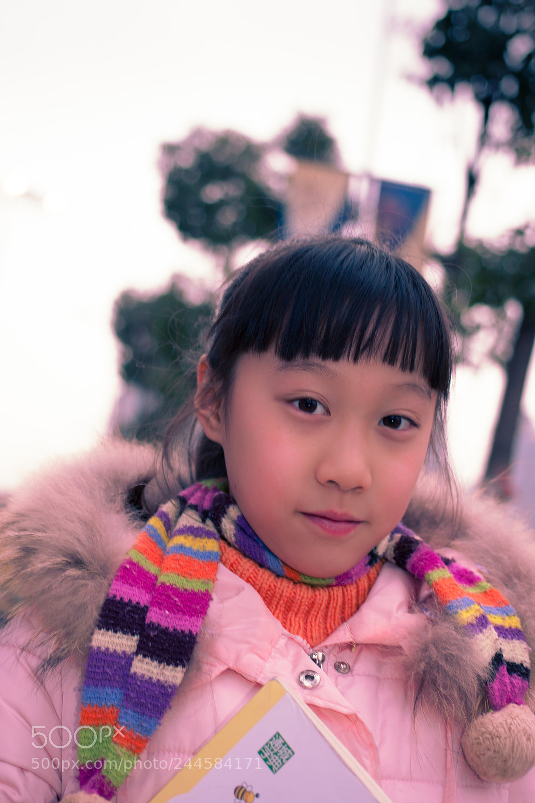 Canon EOS 40D sample photo. 40d+40mmstm/2.8 photography