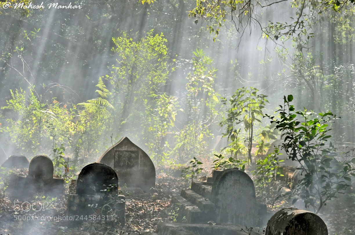Nikon D5100 sample photo. Graveyard photography