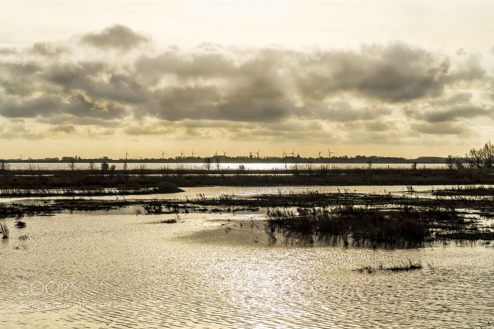 Sony a7R II sample photo. Riverbank haringvliet photography