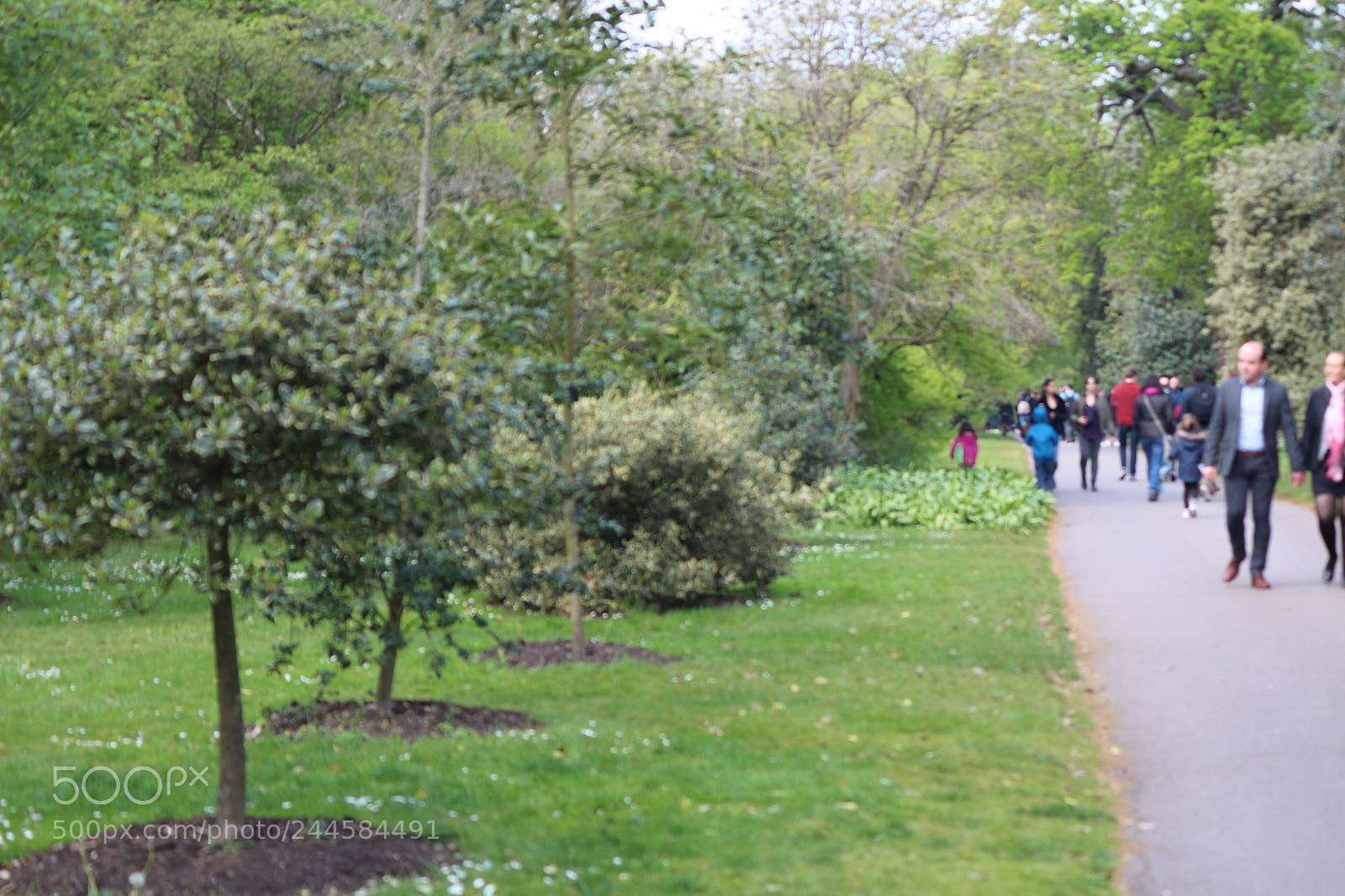 Canon EOS 650D (EOS Rebel T4i / EOS Kiss X6i) sample photo. Img photography