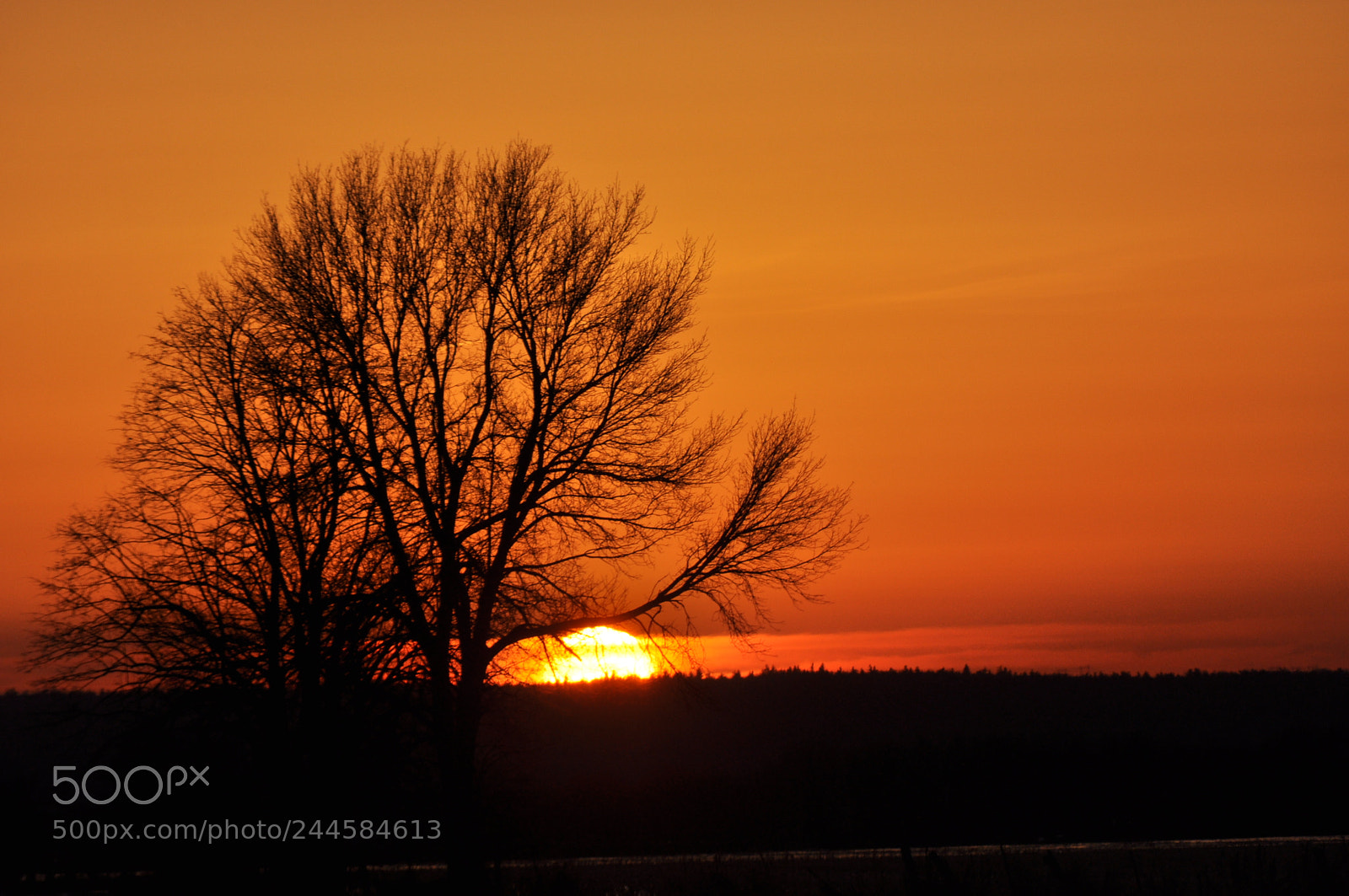 Nikon D5000 sample photo. Sunset photography