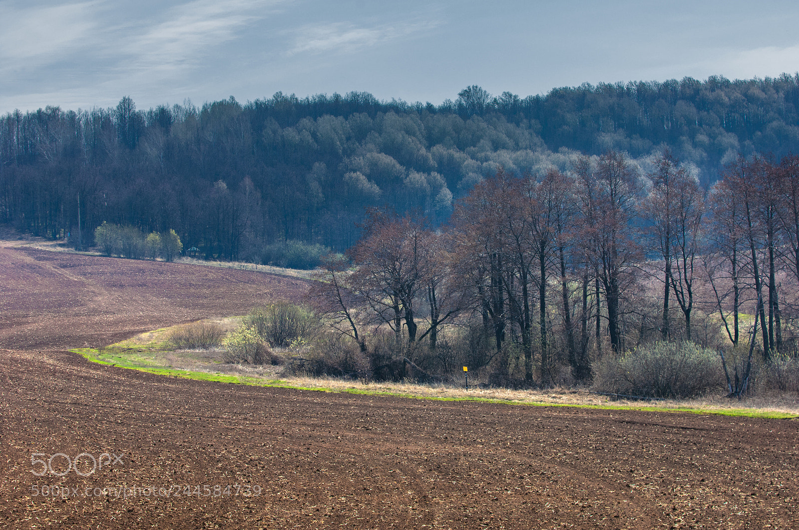 Nikon D2X sample photo. Spring landscape. freshly plowed photography