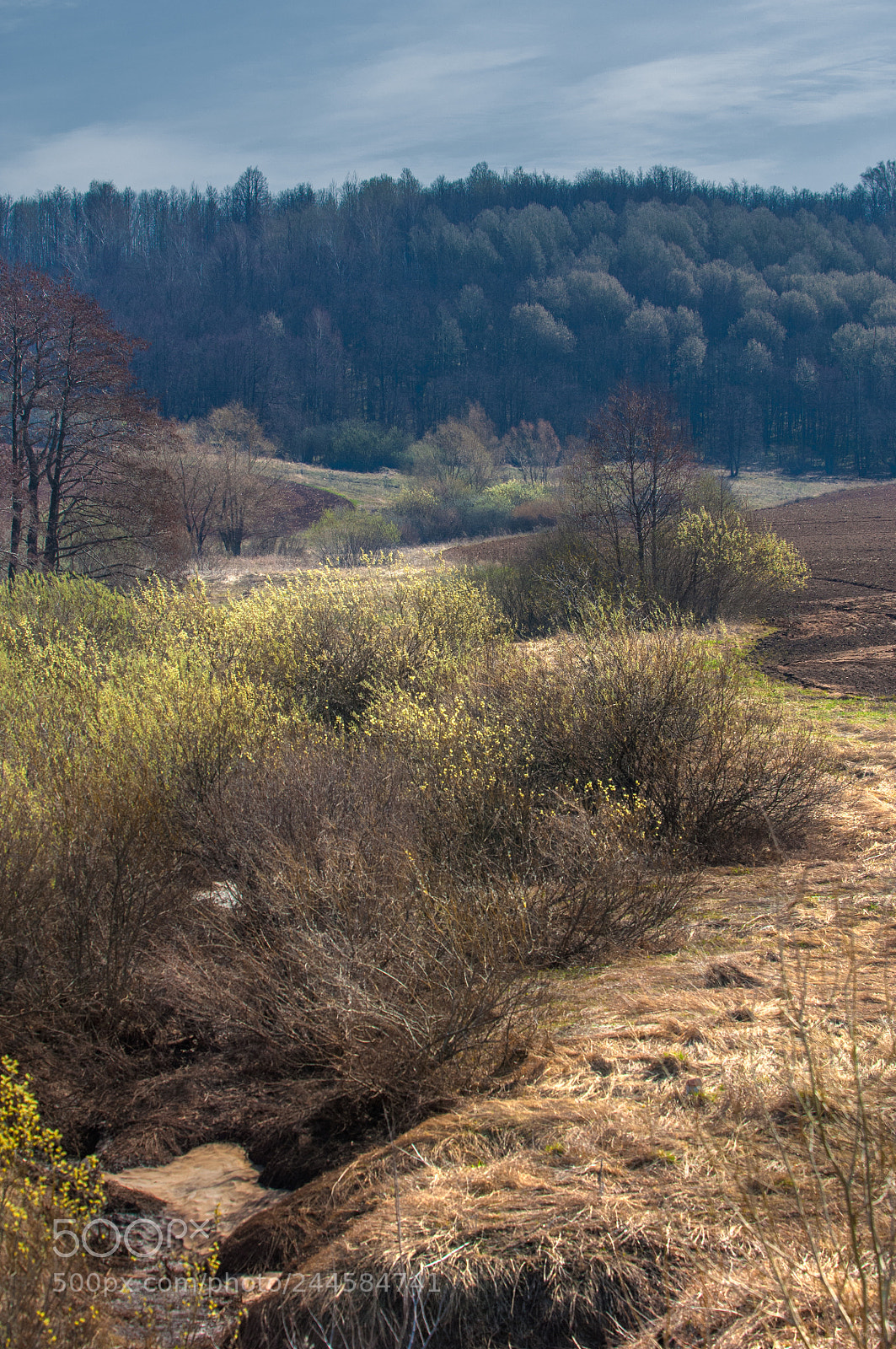 Nikon D2X sample photo. Spring landscape. freshly plowed photography