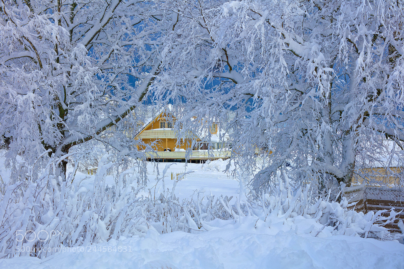 Canon EOS 5DS R sample photo. Snow idyll photography