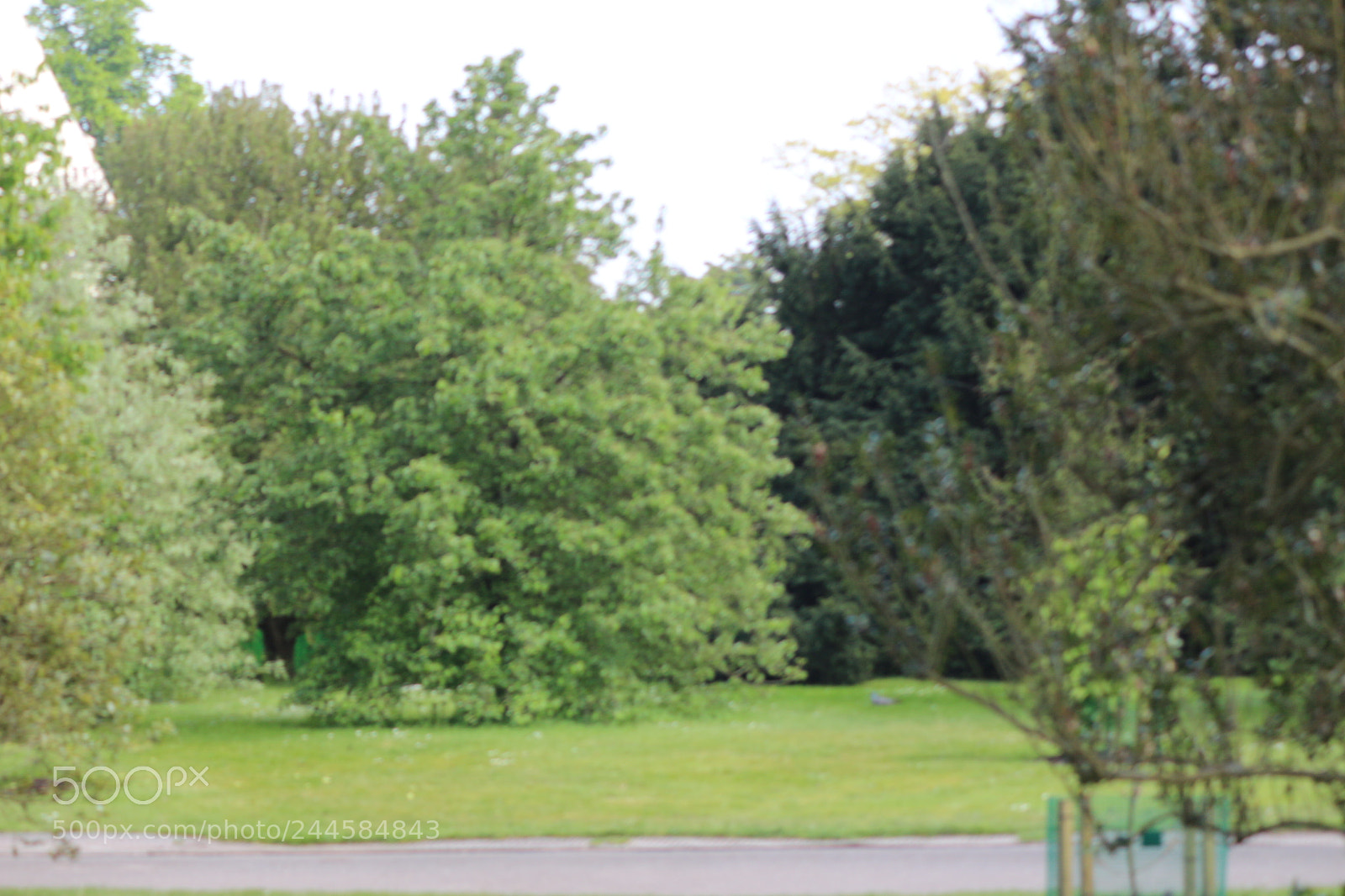 Canon EOS 650D (EOS Rebel T4i / EOS Kiss X6i) sample photo. Img photography