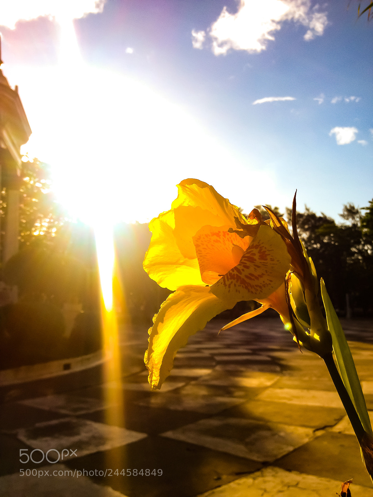 Apple iPhone 4S sample photo. 4pm almost sunsets photography