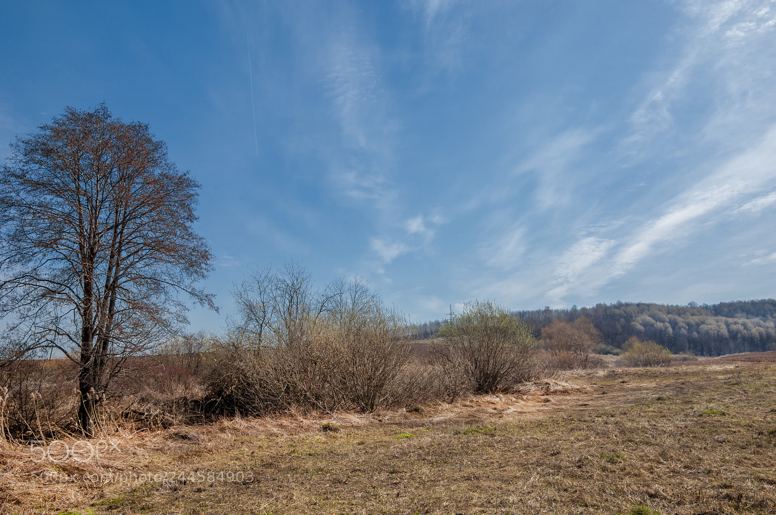 Nikon D2X sample photo. Spring landscape. freshly plowed photography