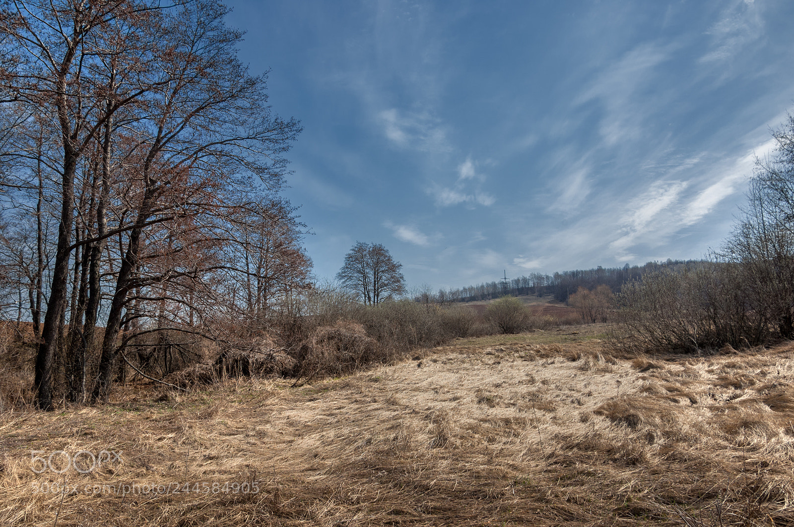 Nikon D2X sample photo. Spring landscape. freshly plowed photography