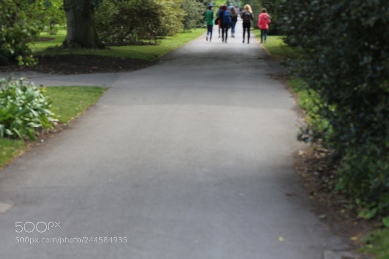 Canon EOS 650D (EOS Rebel T4i / EOS Kiss X6i) sample photo. Img photography