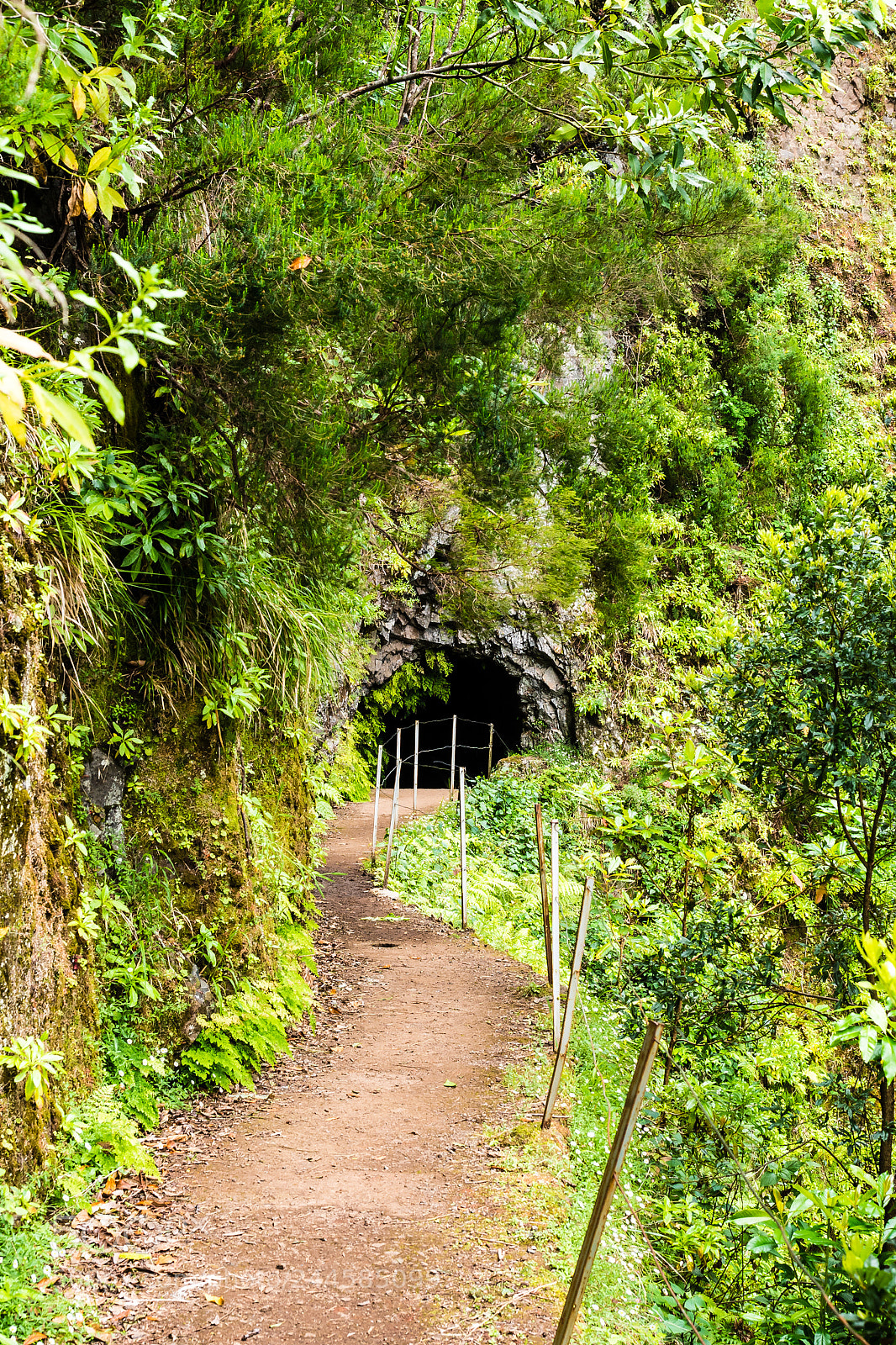 Olympus OM-D E-M5 sample photo. Tunnel photography