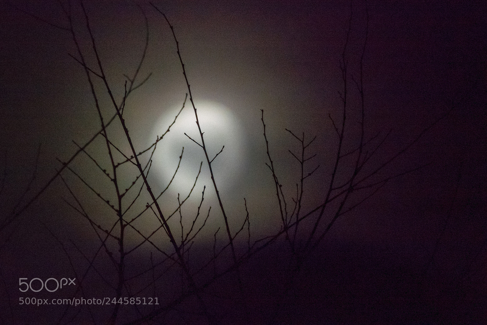 Nikon 1 J5 sample photo. Ay, la luna oh photography
