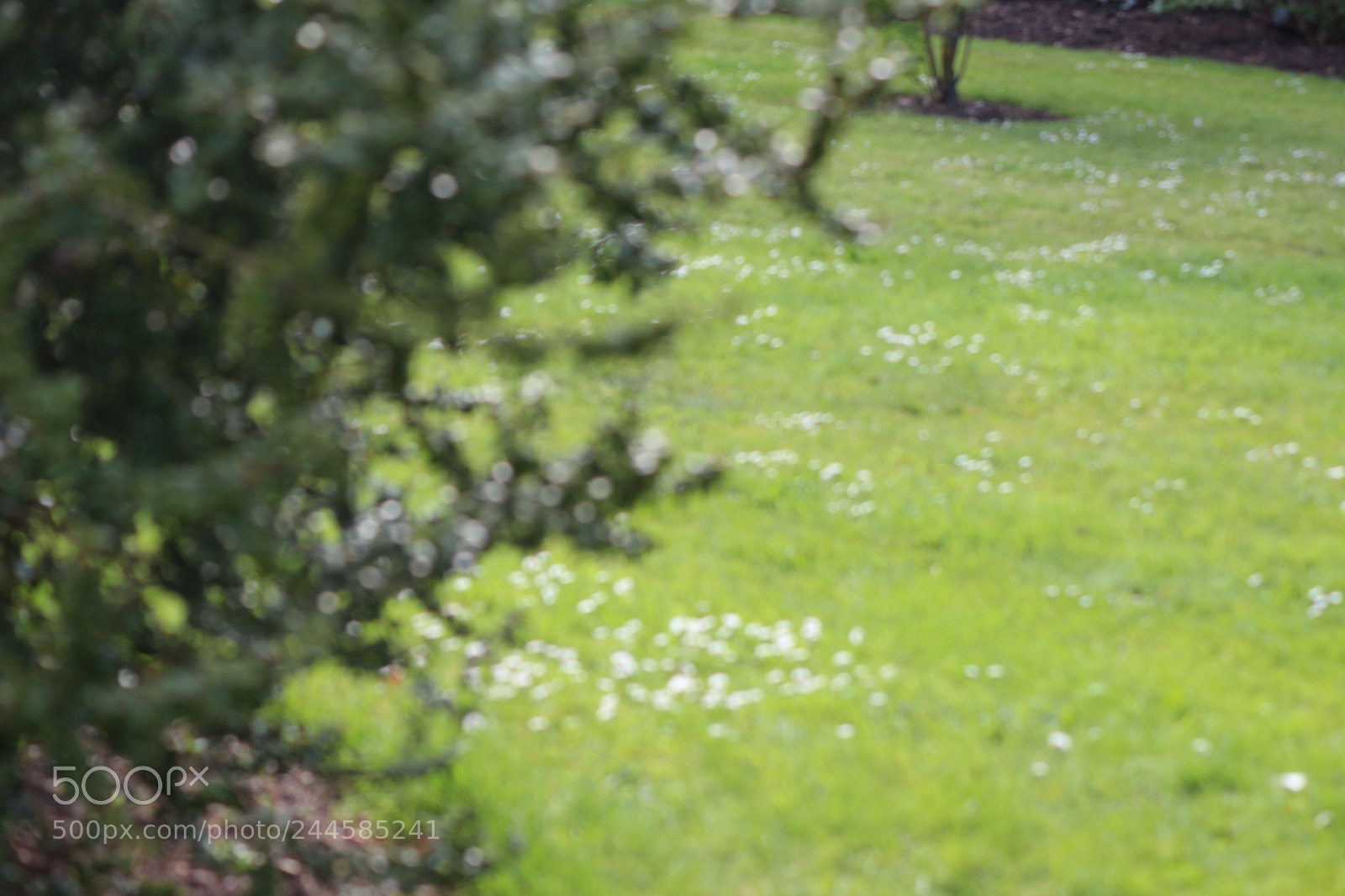 Canon EOS 650D (EOS Rebel T4i / EOS Kiss X6i) sample photo. Img photography