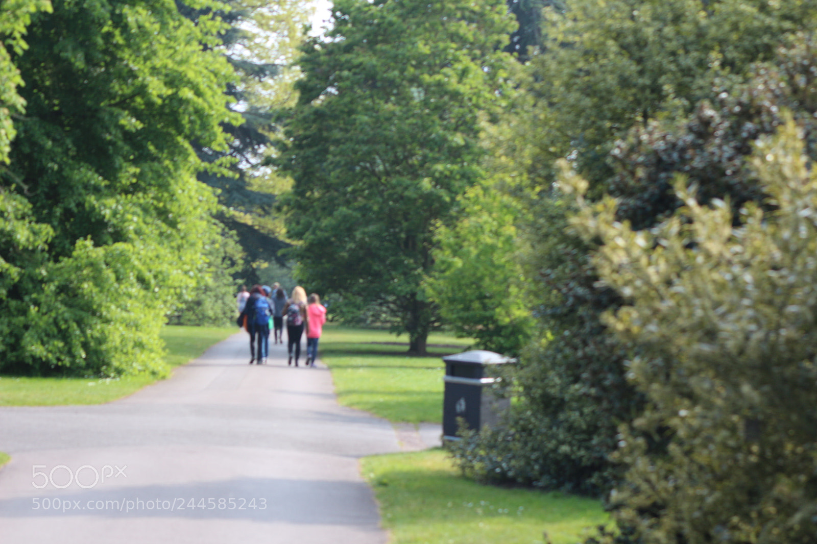Canon EOS 650D (EOS Rebel T4i / EOS Kiss X6i) sample photo. Img photography