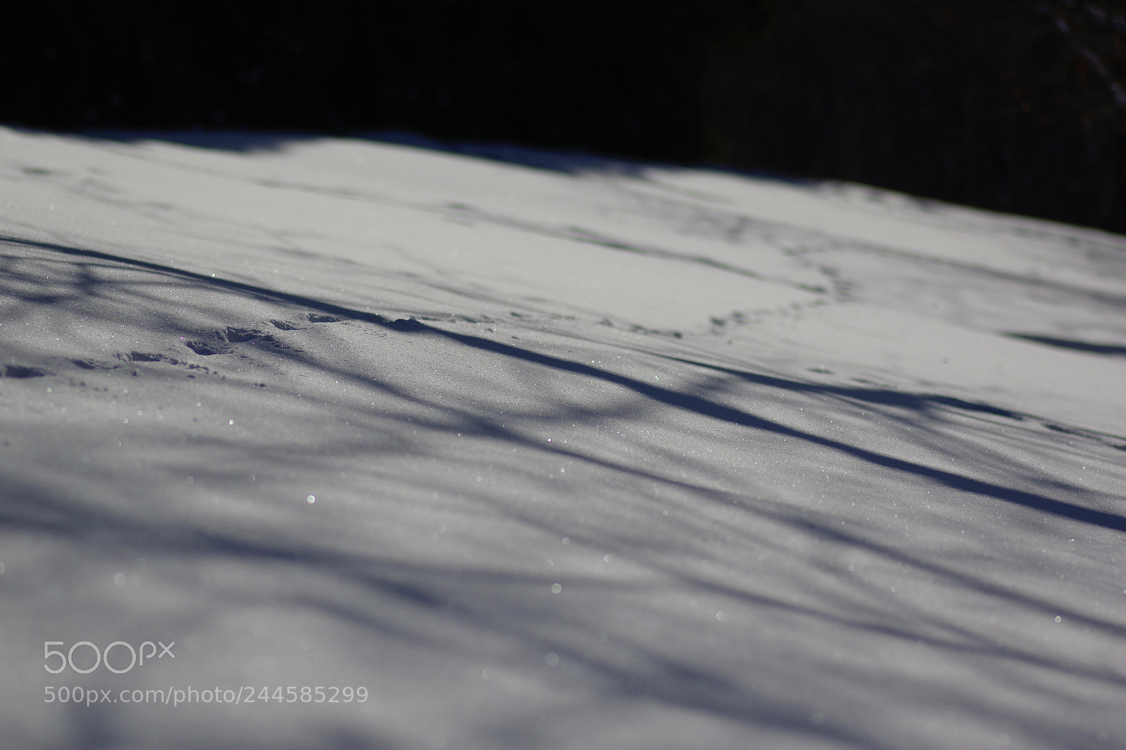 Pentax K-3 II sample photo. A walk photography