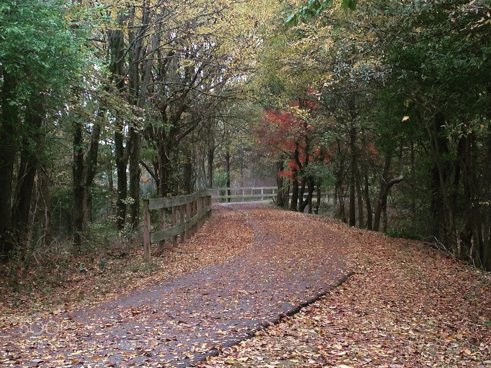 Apple iPhone 5c sample photo. Shelby farms - memphis photography