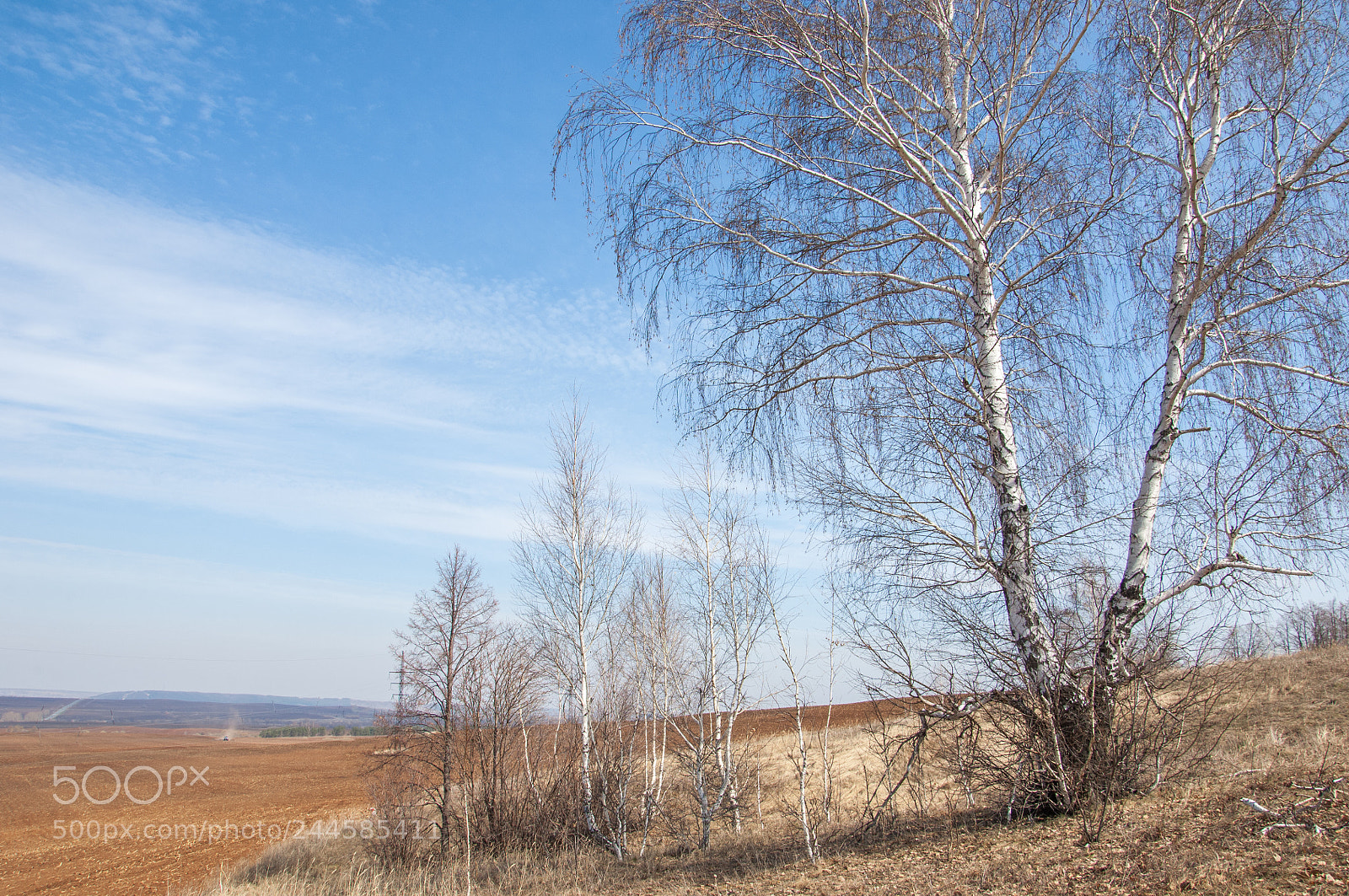 Nikon D2X sample photo. Spring landscape. freshly plowed photography