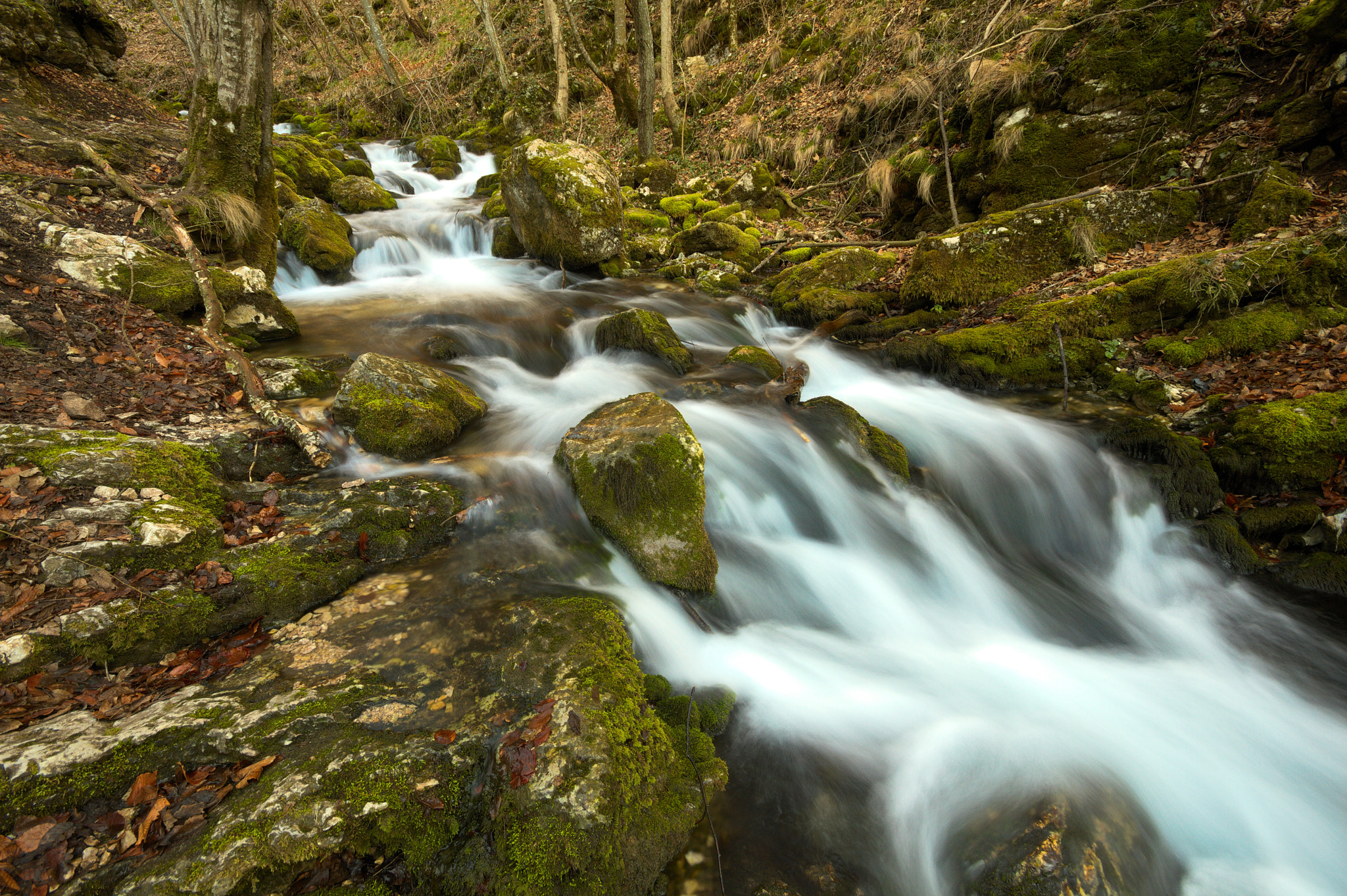 Canon EOS 7D + Sigma 10-20mm F4-5.6 EX DC HSM sample photo. River near bigar falls photography