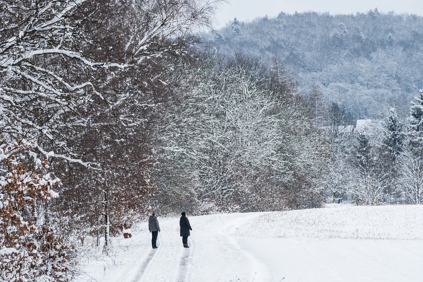 Nikon D7500 sample photo. Snowfall-2 photography