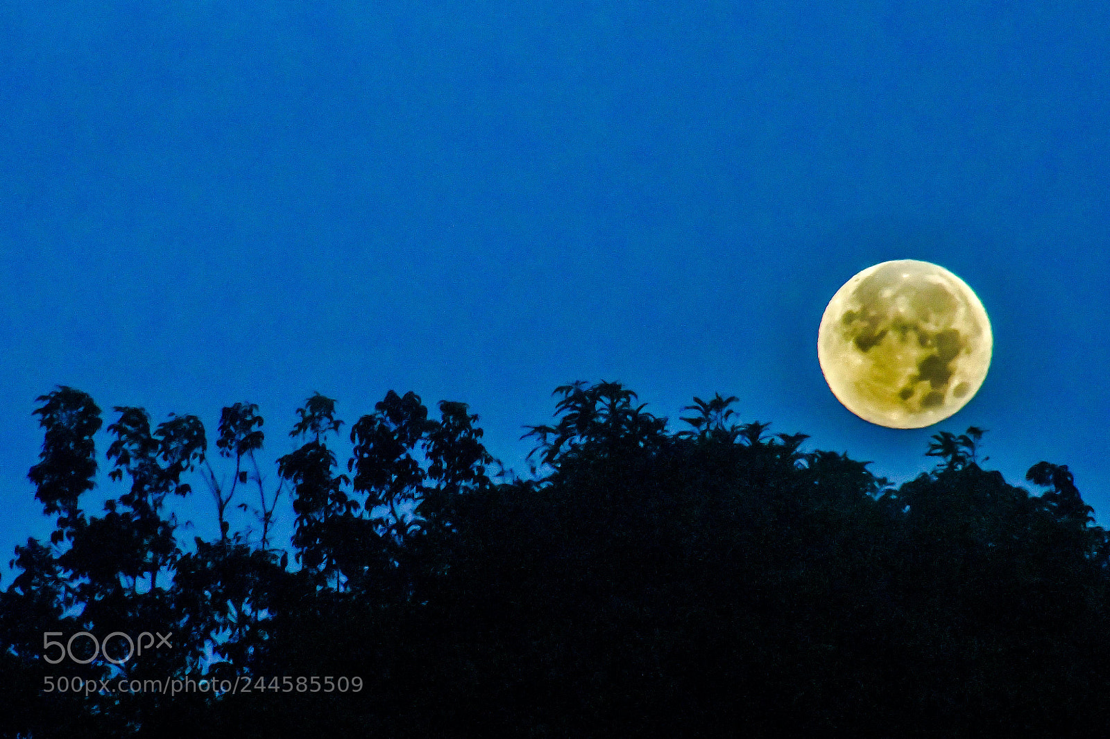 Nikon D7500 sample photo. Morning moon photography