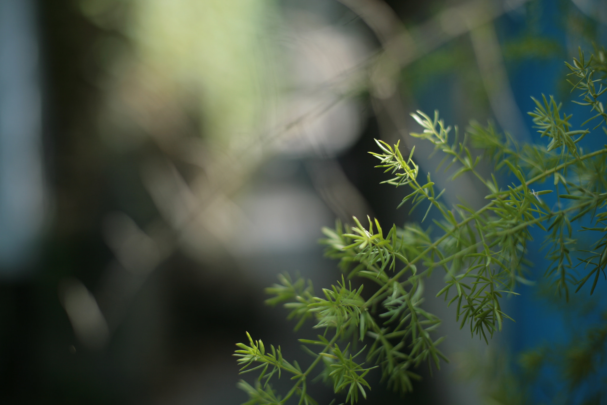 Canon EOS 5D sample photo. Img photography