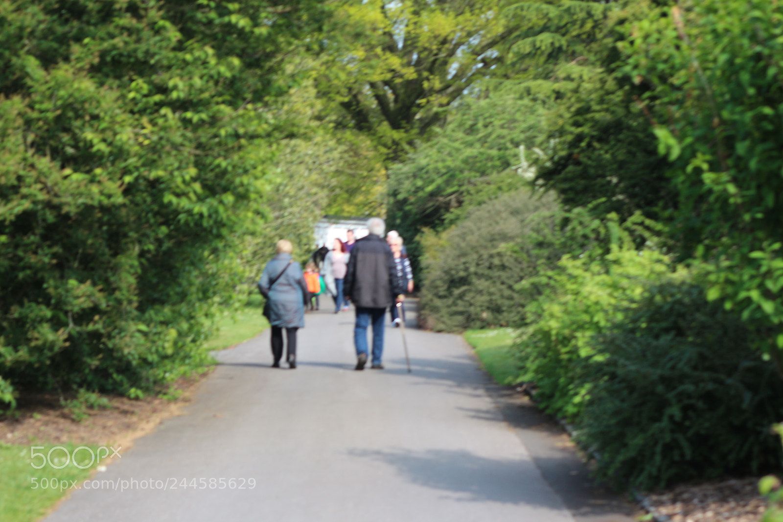 Canon EOS 650D (EOS Rebel T4i / EOS Kiss X6i) sample photo. Img photography