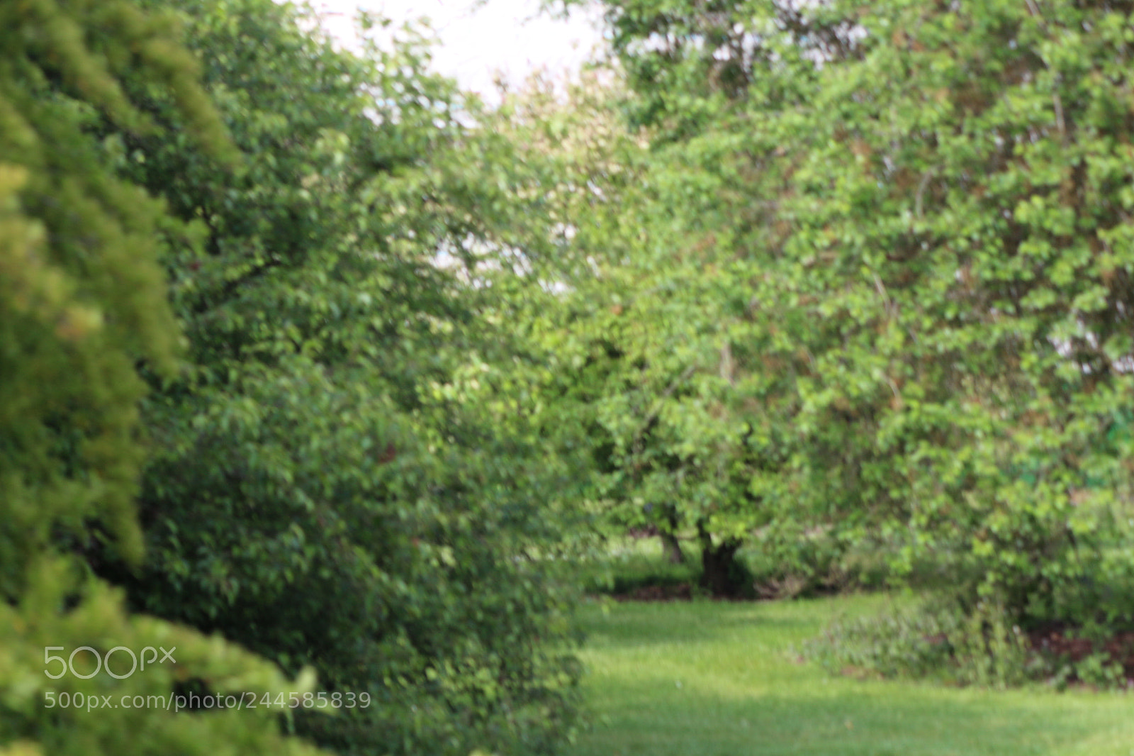 Canon EOS 650D (EOS Rebel T4i / EOS Kiss X6i) sample photo. Img photography