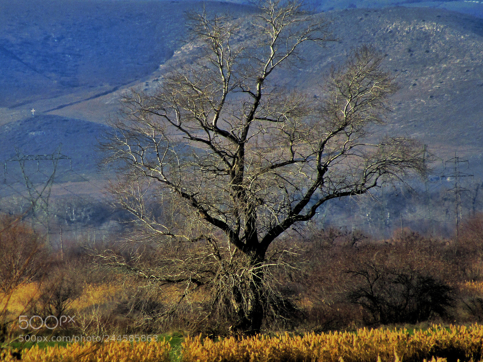Canon PowerShot SX410 IS sample photo. Untitled photography