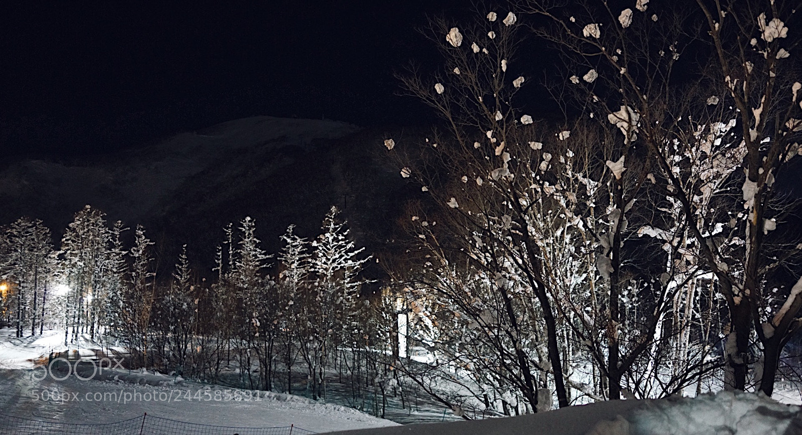 Sony Cyber-shot DSC-RX1R II sample photo. Silent night photography