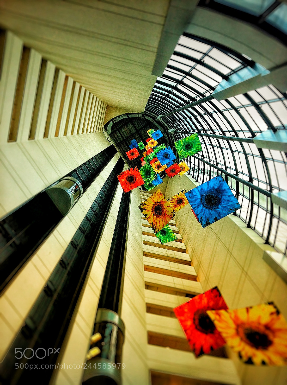 Apple iPhone 4 sample photo. I see flowers...floating... photography