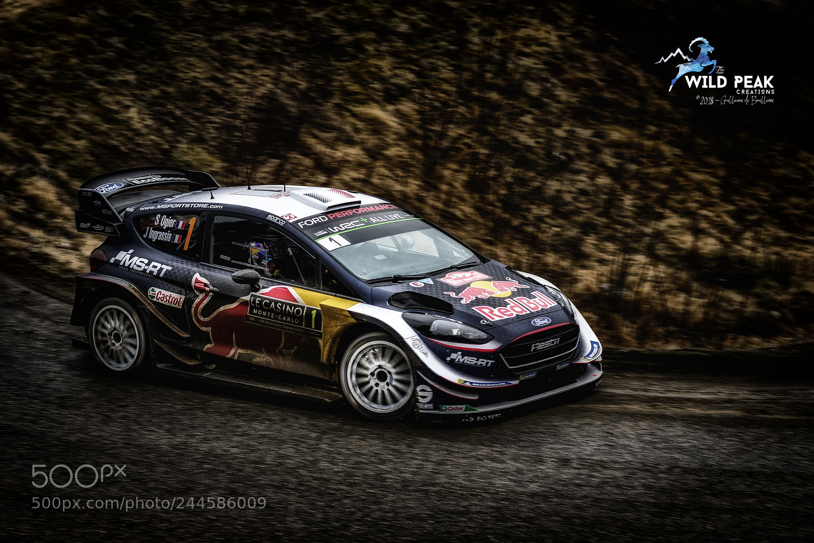 Nikon D800 sample photo. Rallye monte carlo 2018 photography