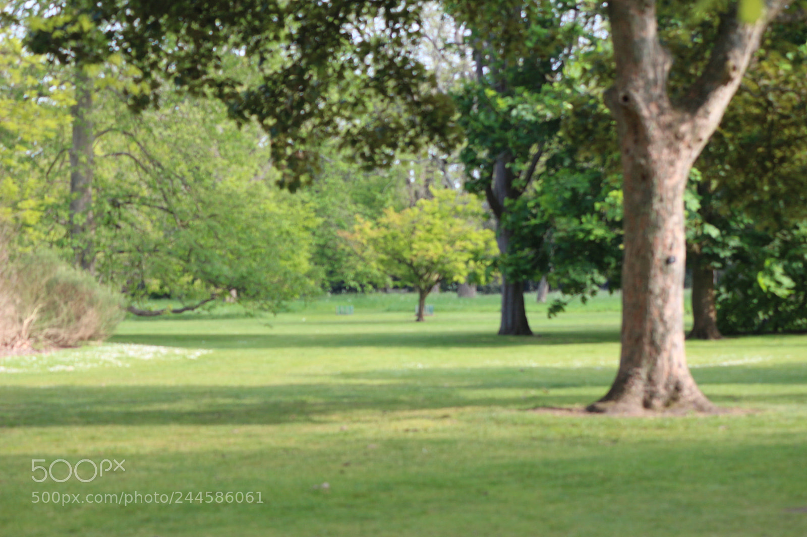 Canon EOS 650D (EOS Rebel T4i / EOS Kiss X6i) sample photo. Img photography