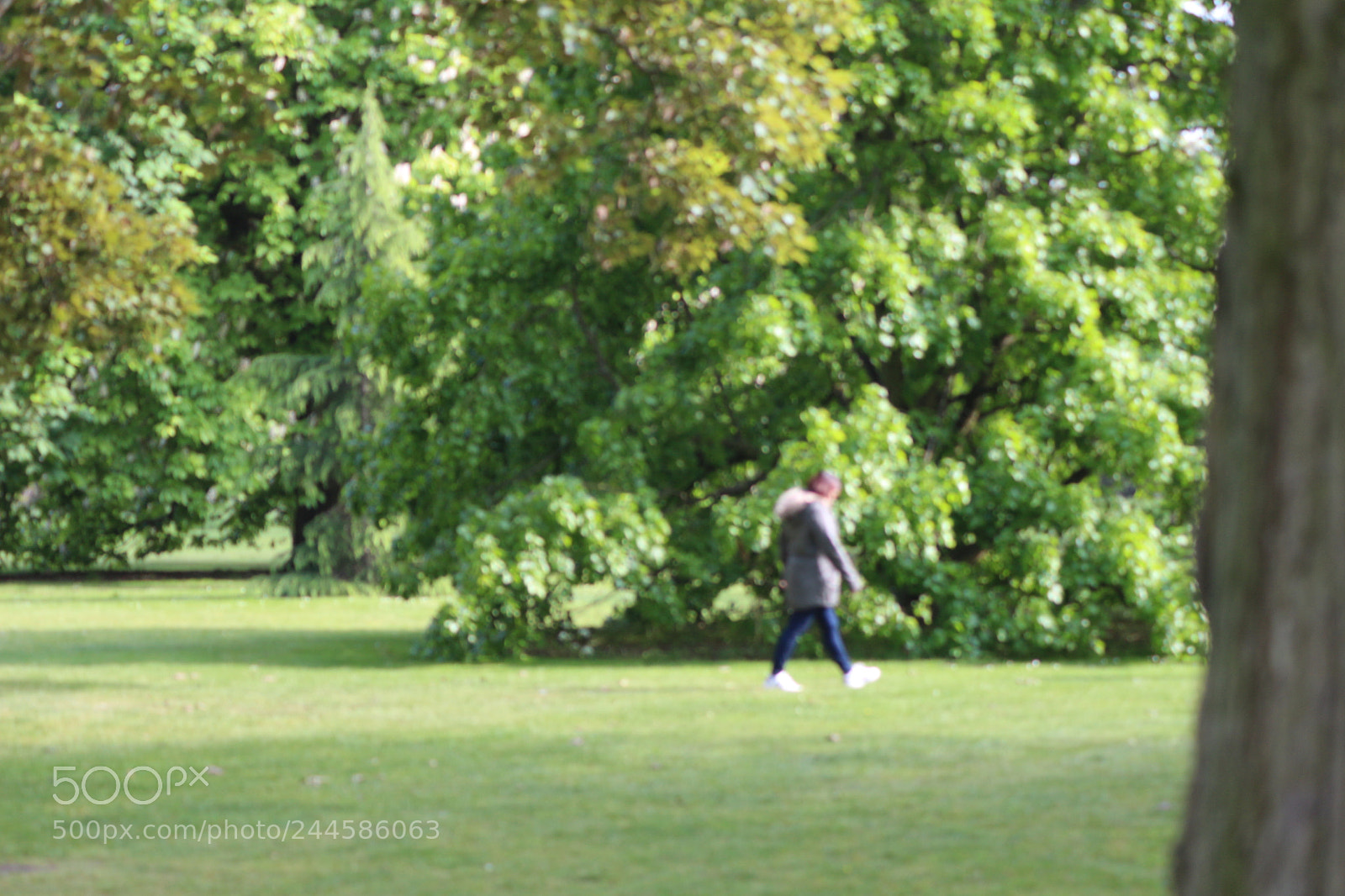 Canon EOS 650D (EOS Rebel T4i / EOS Kiss X6i) sample photo. Img photography
