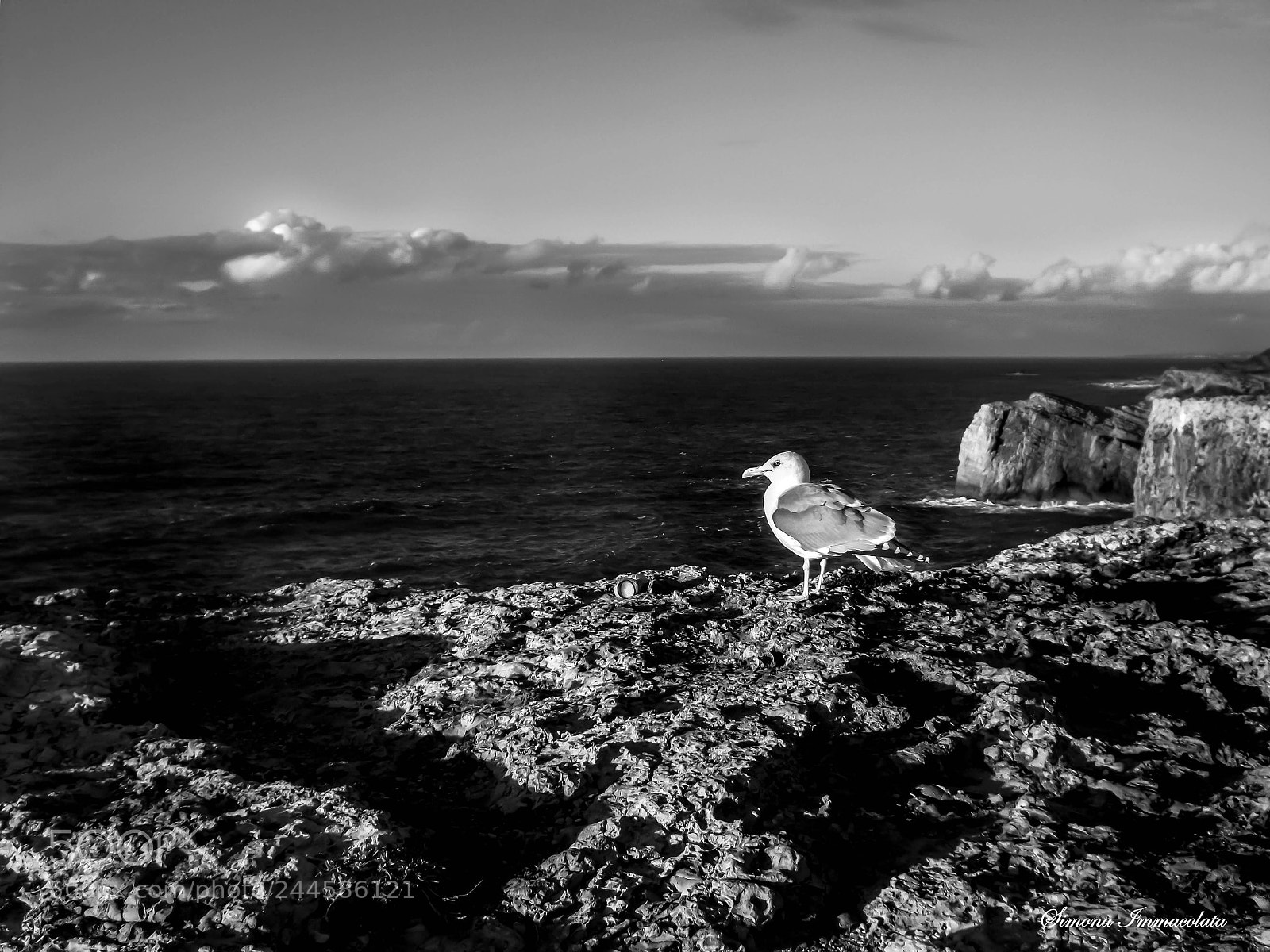 Fujifilm FinePix S4800 sample photo. Cabo de s o photography