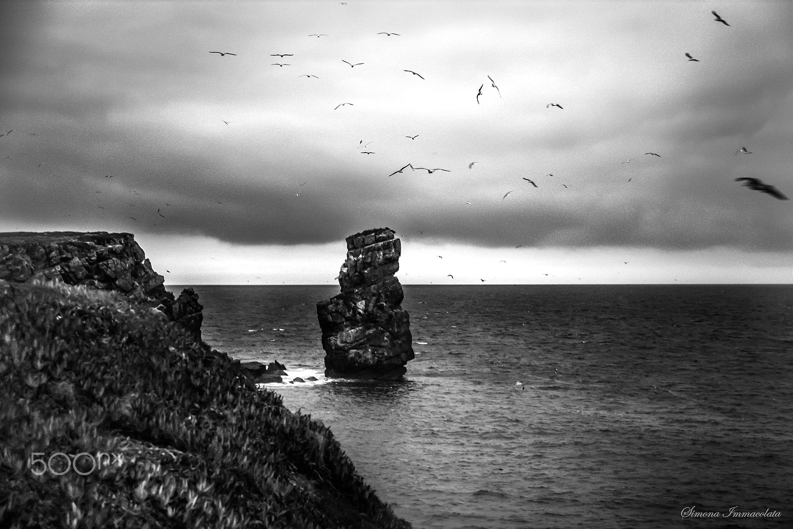Canon EOS 650D (EOS Rebel T4i / EOS Kiss X6i) sample photo. Papôa, peniche, portugal photography