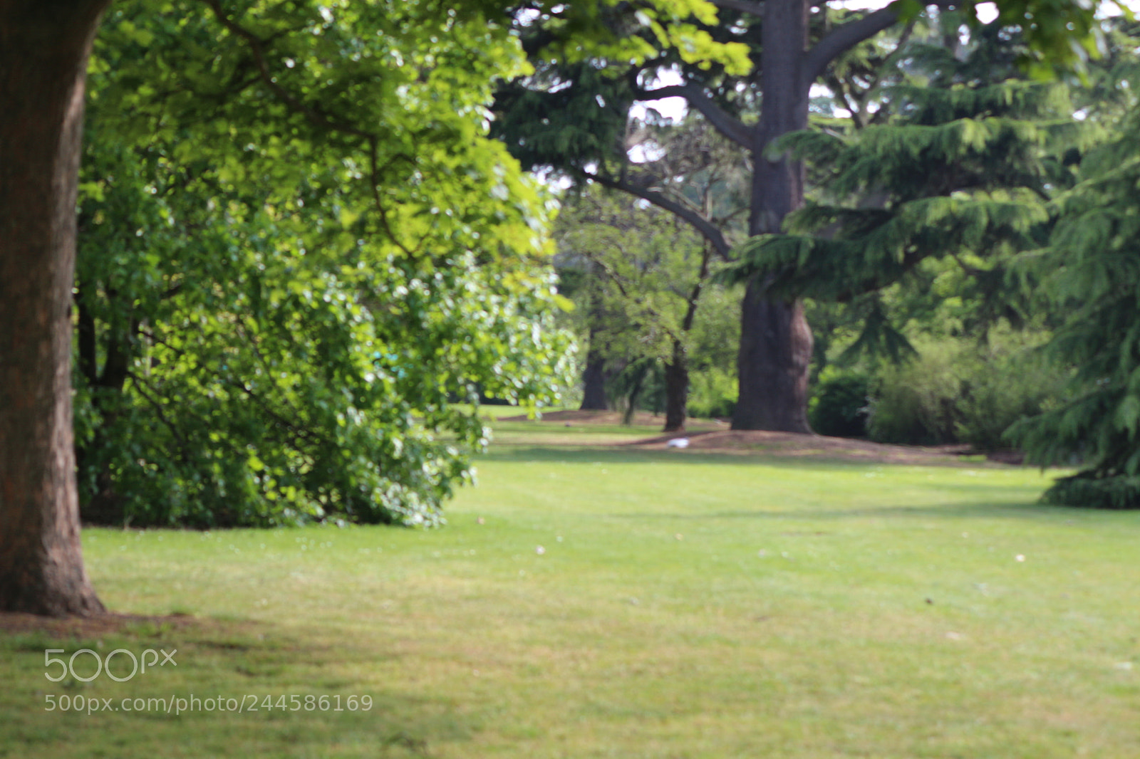 Canon EOS 650D (EOS Rebel T4i / EOS Kiss X6i) sample photo. Img photography