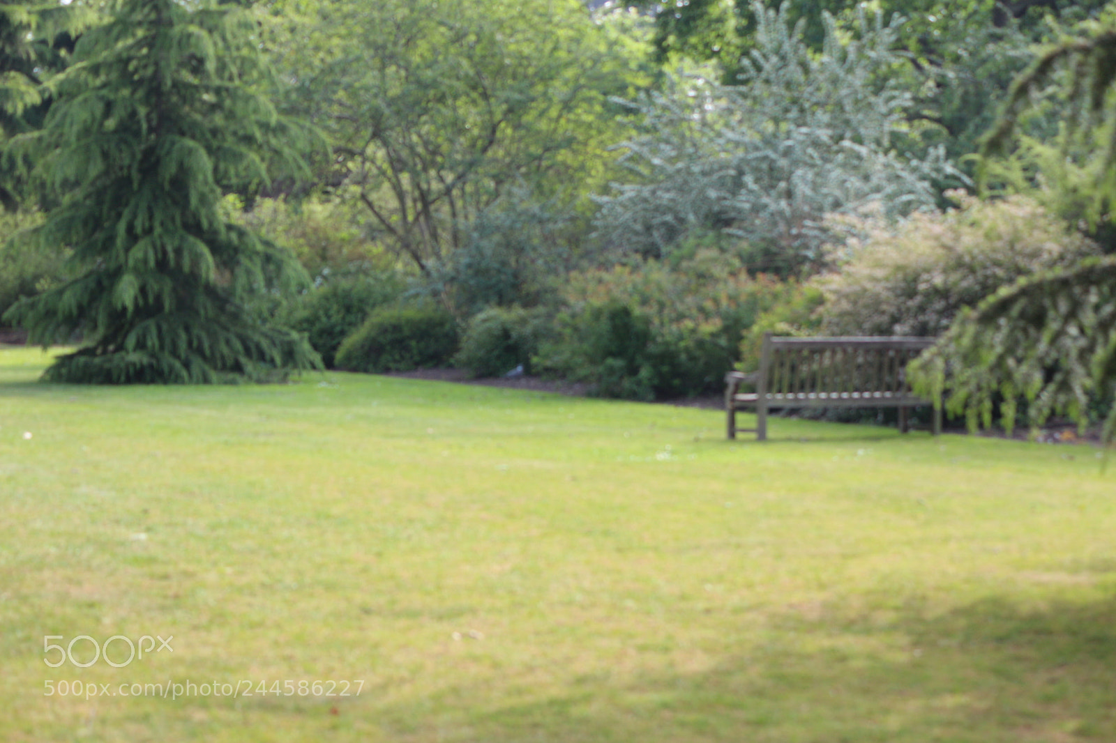 Canon EOS 650D (EOS Rebel T4i / EOS Kiss X6i) sample photo. Img photography