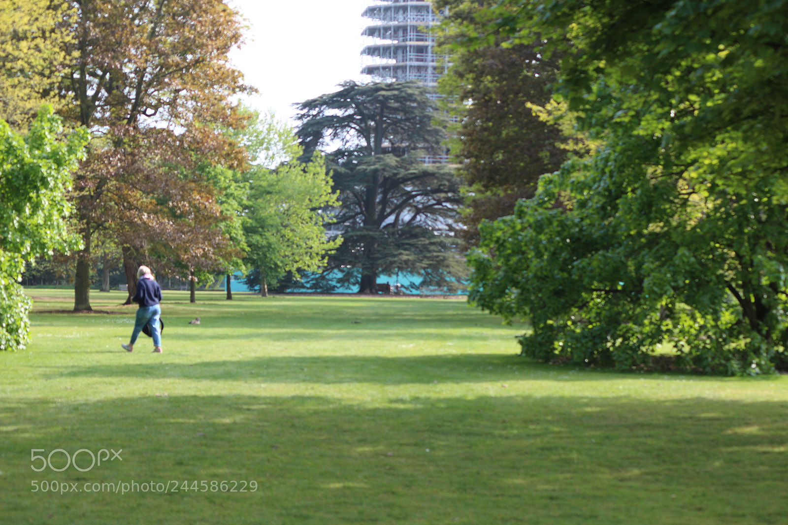 Canon EOS 650D (EOS Rebel T4i / EOS Kiss X6i) sample photo. Img photography