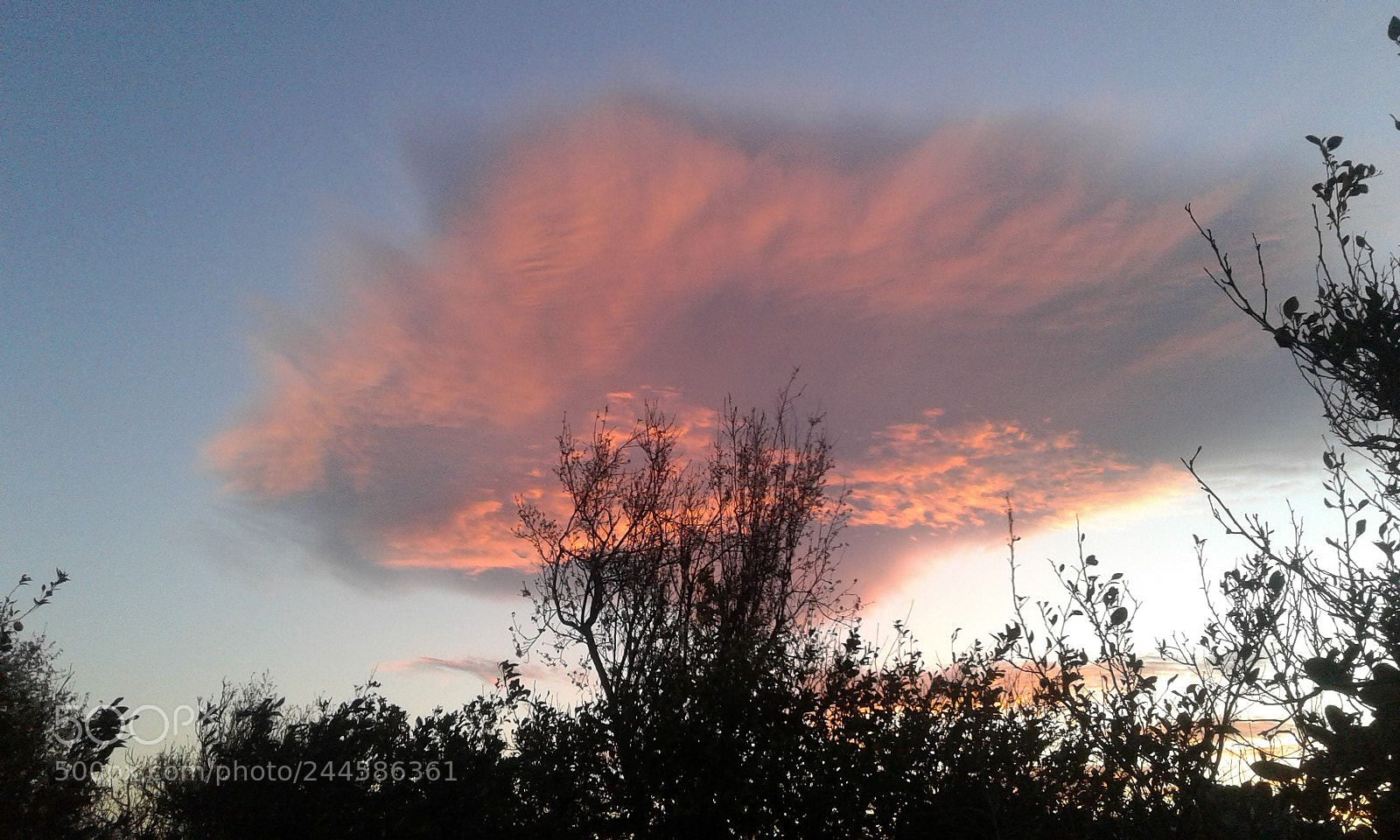 Samsung Galaxy Core Prime sample photo. Untitled photography